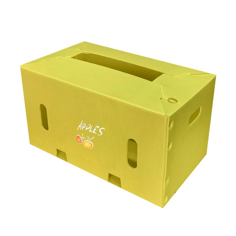 Plastic Pp Box suppliers